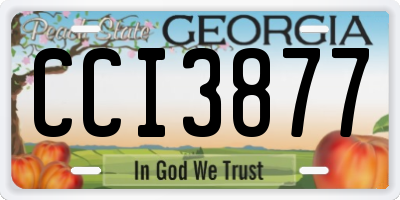 GA license plate CCI3877