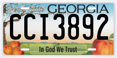 GA license plate CCI3892