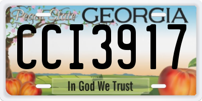 GA license plate CCI3917