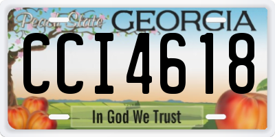 GA license plate CCI4618
