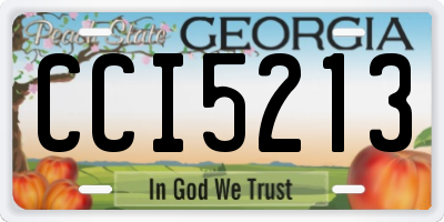 GA license plate CCI5213