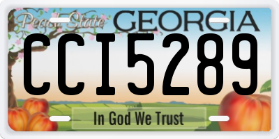 GA license plate CCI5289