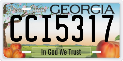 GA license plate CCI5317