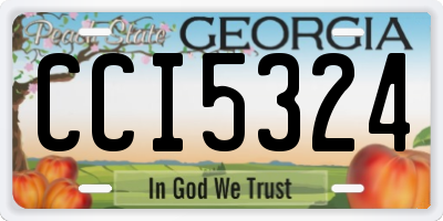 GA license plate CCI5324