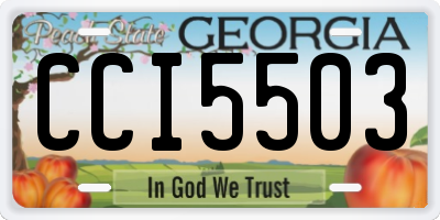 GA license plate CCI5503