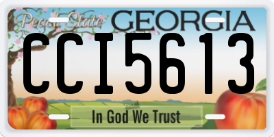 GA license plate CCI5613