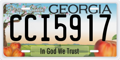 GA license plate CCI5917