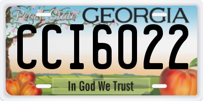 GA license plate CCI6022