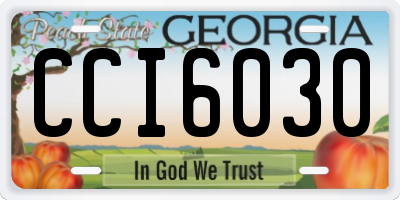 GA license plate CCI6030