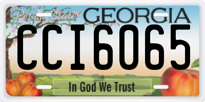 GA license plate CCI6065