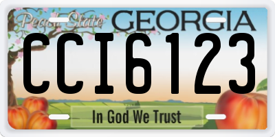 GA license plate CCI6123