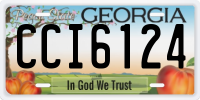 GA license plate CCI6124