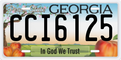 GA license plate CCI6125
