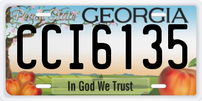 GA license plate CCI6135