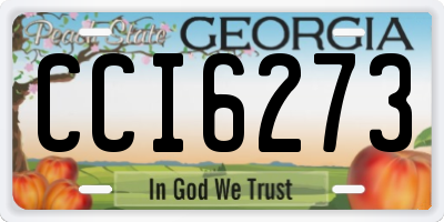 GA license plate CCI6273