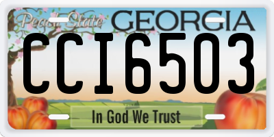 GA license plate CCI6503