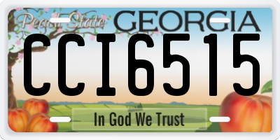 GA license plate CCI6515