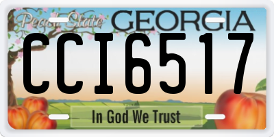 GA license plate CCI6517