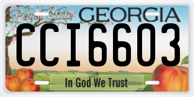 GA license plate CCI6603