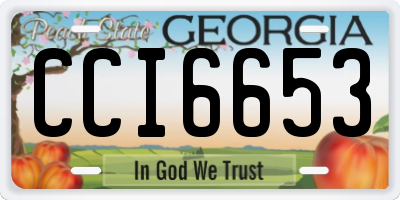 GA license plate CCI6653