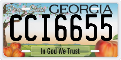GA license plate CCI6655
