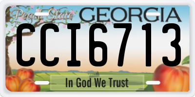 GA license plate CCI6713