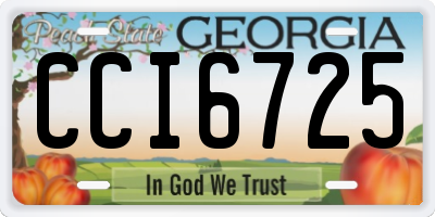 GA license plate CCI6725