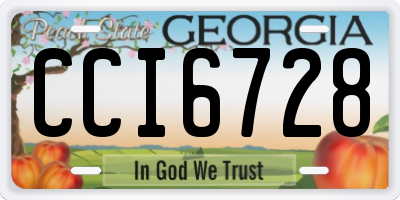 GA license plate CCI6728