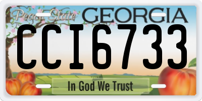 GA license plate CCI6733