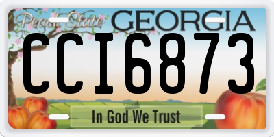 GA license plate CCI6873