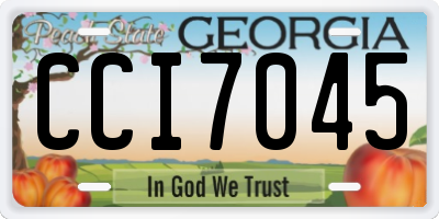 GA license plate CCI7045