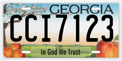 GA license plate CCI7123