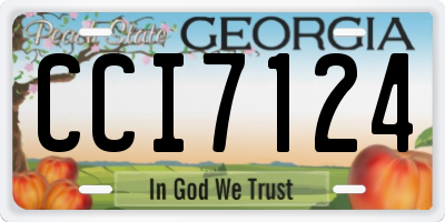 GA license plate CCI7124