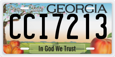 GA license plate CCI7213