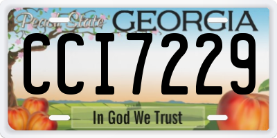 GA license plate CCI7229