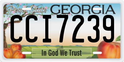 GA license plate CCI7239