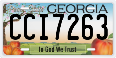 GA license plate CCI7263