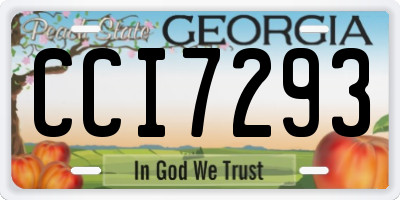 GA license plate CCI7293