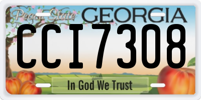 GA license plate CCI7308
