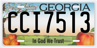 GA license plate CCI7513