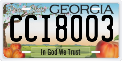 GA license plate CCI8003