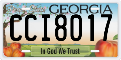 GA license plate CCI8017