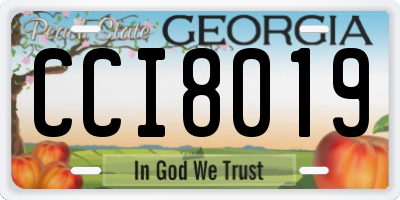 GA license plate CCI8019