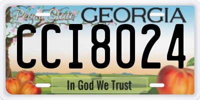GA license plate CCI8024