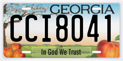 GA license plate CCI8041