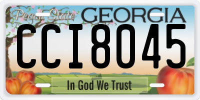 GA license plate CCI8045