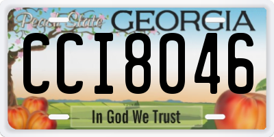 GA license plate CCI8046