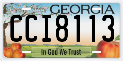 GA license plate CCI8113