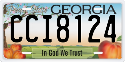 GA license plate CCI8124