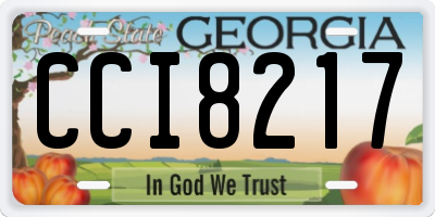 GA license plate CCI8217